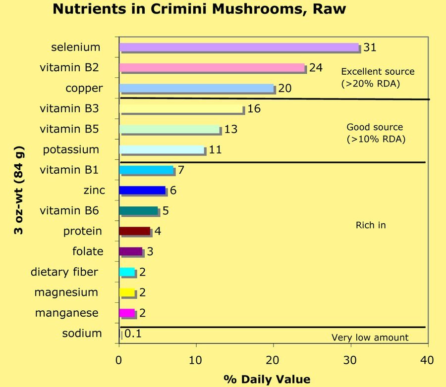 Nutrients Crimini Mushroom Farm