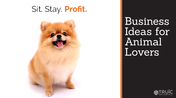 Rental & Pet and Animal Business Ideas