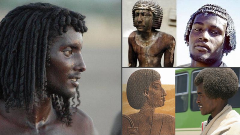 The Question of Race in ancient are Egyptians Africans
