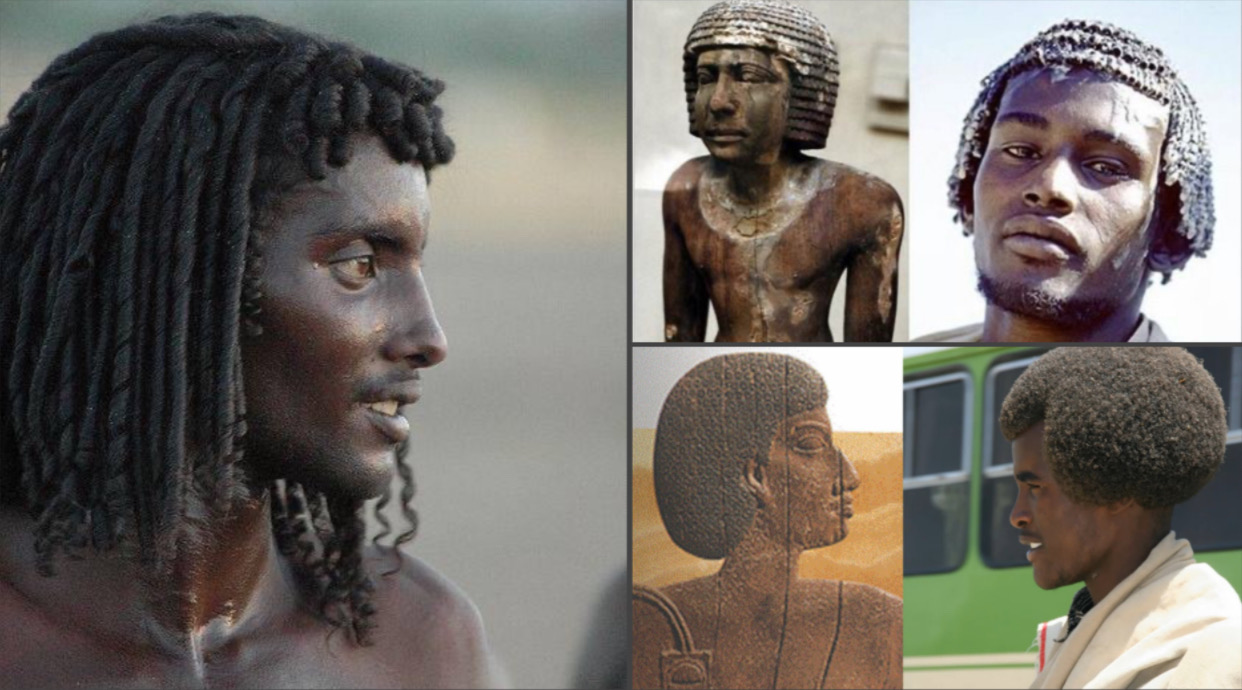 The Question of Race in ancient are Egyptians Africans