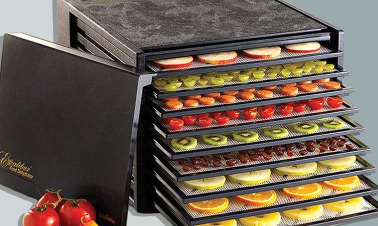 The 5 Best Dehydrators for 2022