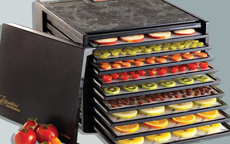 The 5 Best Dehydrators for 2022